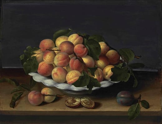 Apricots in a Ceramic Bowl with Plums on a Stone Ledge (1631)